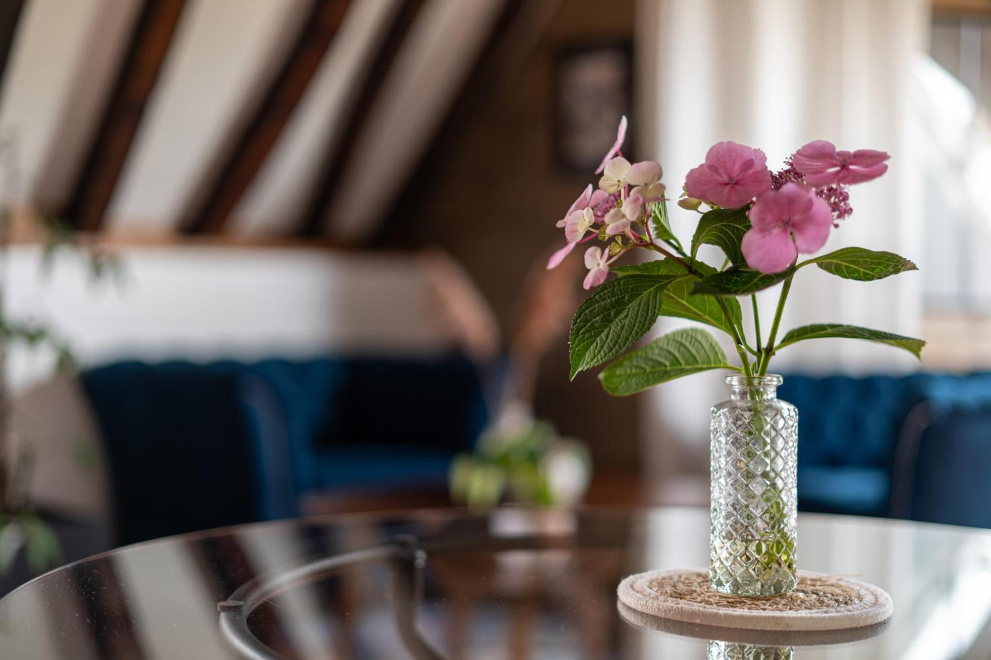 Suite Toussaint - Calme & Authentique Angers Exterior photo